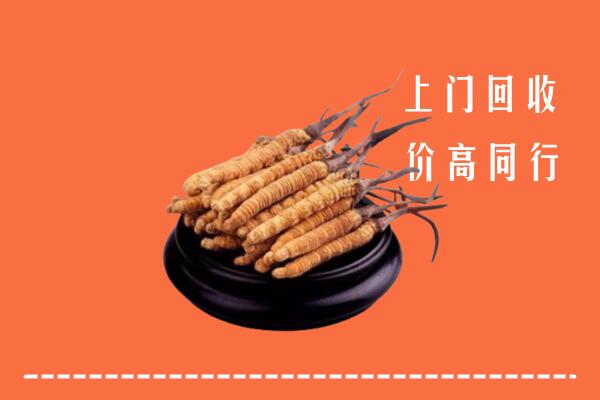 高价求购：儋州市回收散虫草