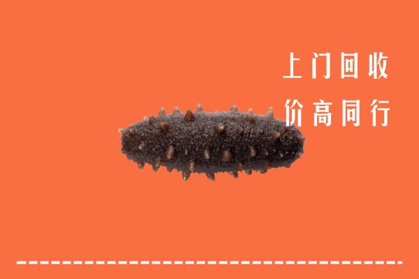 高价求购：儋州市回收海参