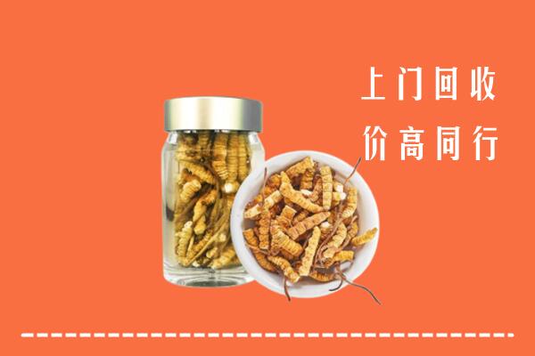 儋州市回收冬虫夏草